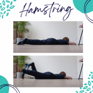 Picture of someone prone strengthening hamstrings